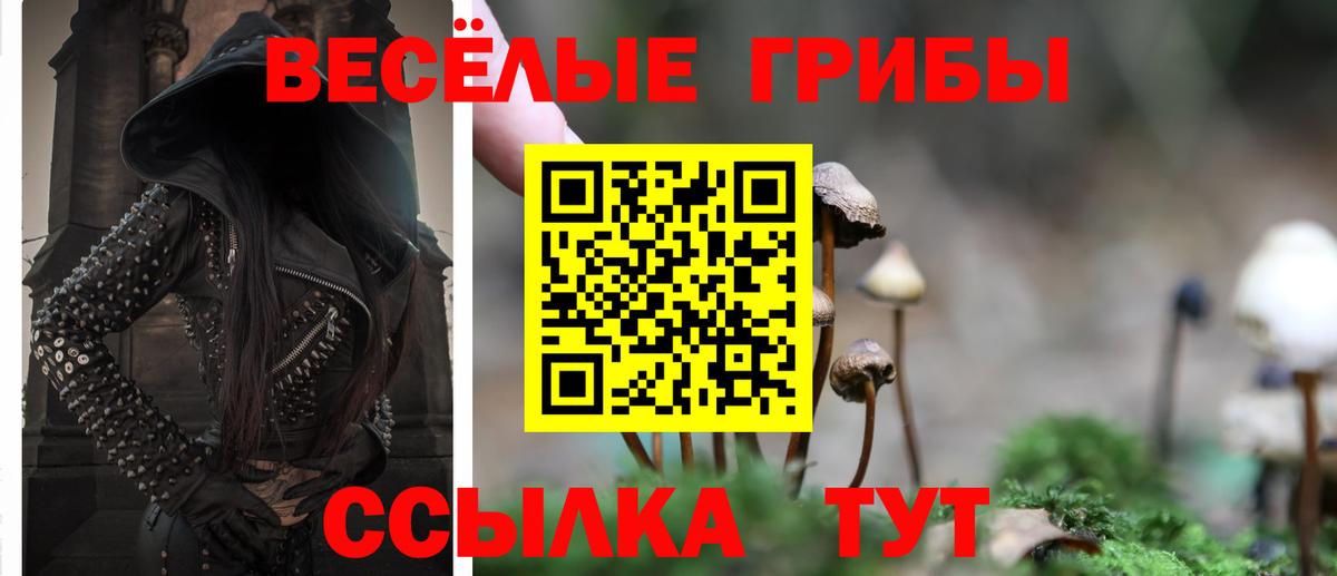 Великий Устюг  где купить наркоту  Вход с VPN  Галлюциногенные грибы прущие грибы 